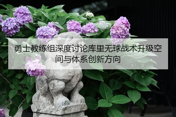 勇士教练组深度讨论库里无球战术升级空间与体系创新方向